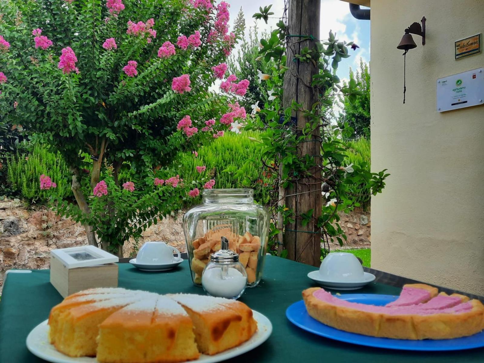 Agriturismo Le Colline Di Capalbio Εξωτερικό φωτογραφία