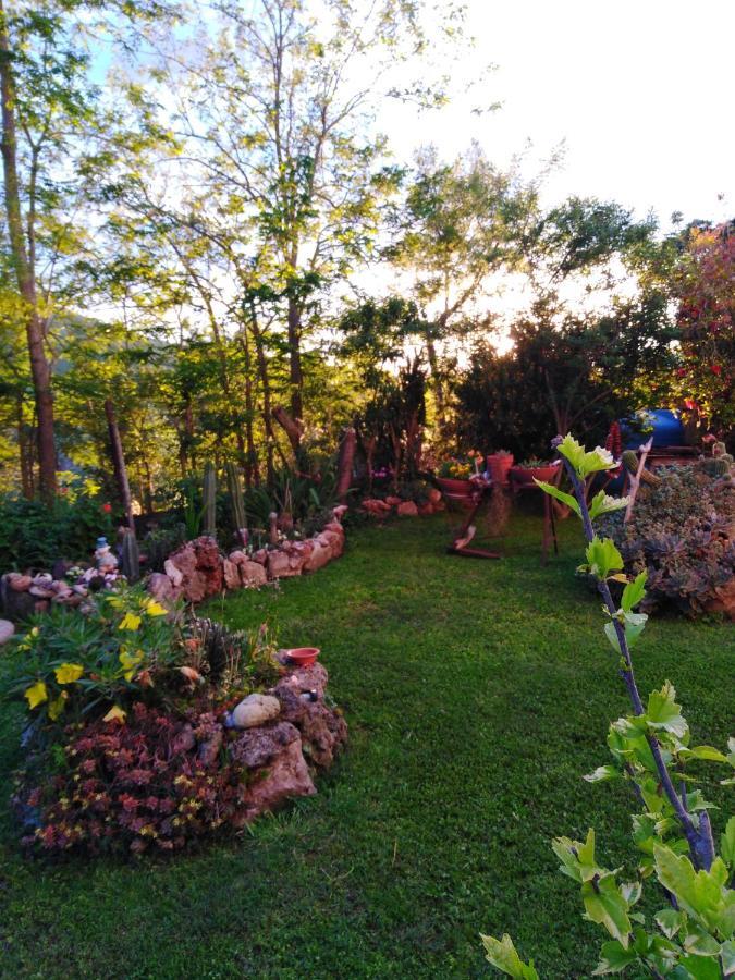 Agriturismo Le Colline Di Capalbio Εξωτερικό φωτογραφία